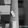 あれ？