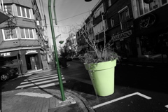 France : Lence
