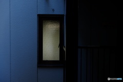 気配