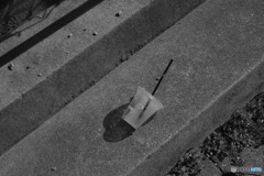 社会問題に・・・・