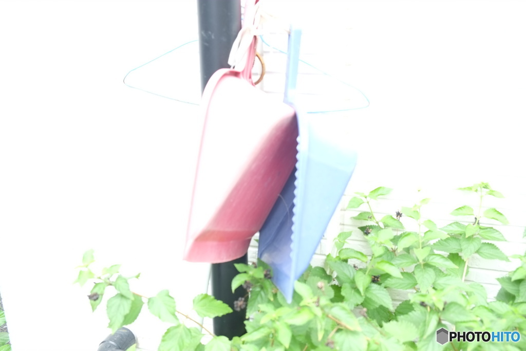 フォロー
