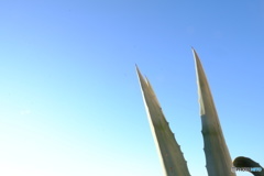 リュウゼツラン