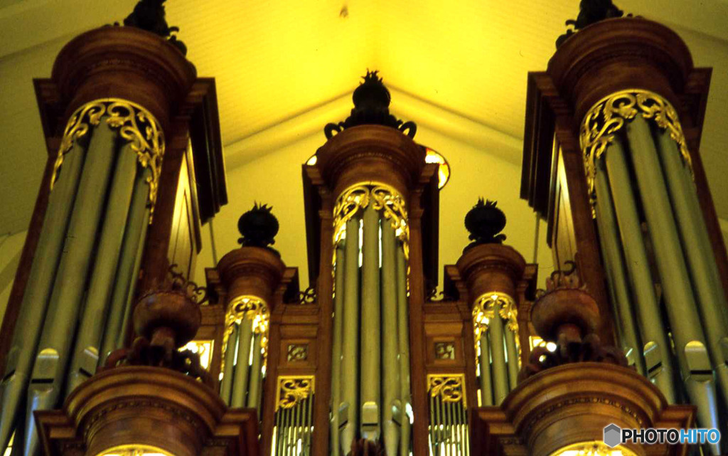 Pipe Organ
