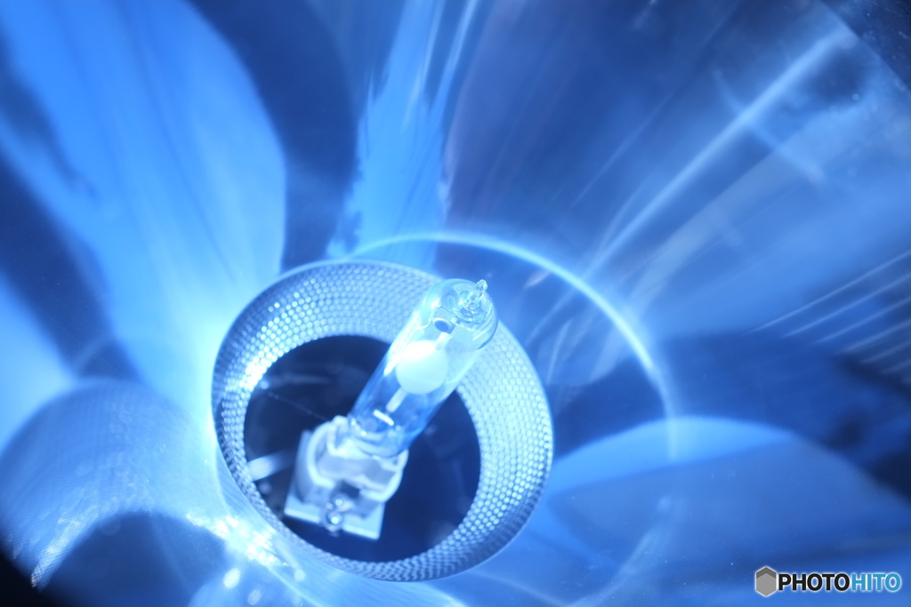 メカニカル　リリー