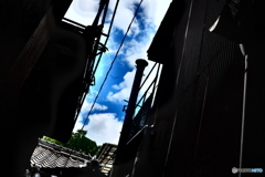 見上げた空