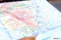 DROPS