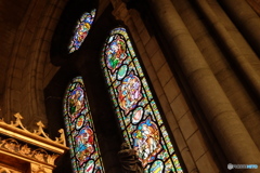 France / Notre Dame de la Treille