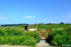 2018 England / Marazion