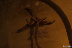 England /  Exeter Cathedral 