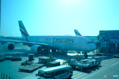 Airbus  A380 (CDG往路にて)
