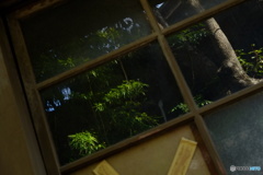 向うの向こう 向うの向こう