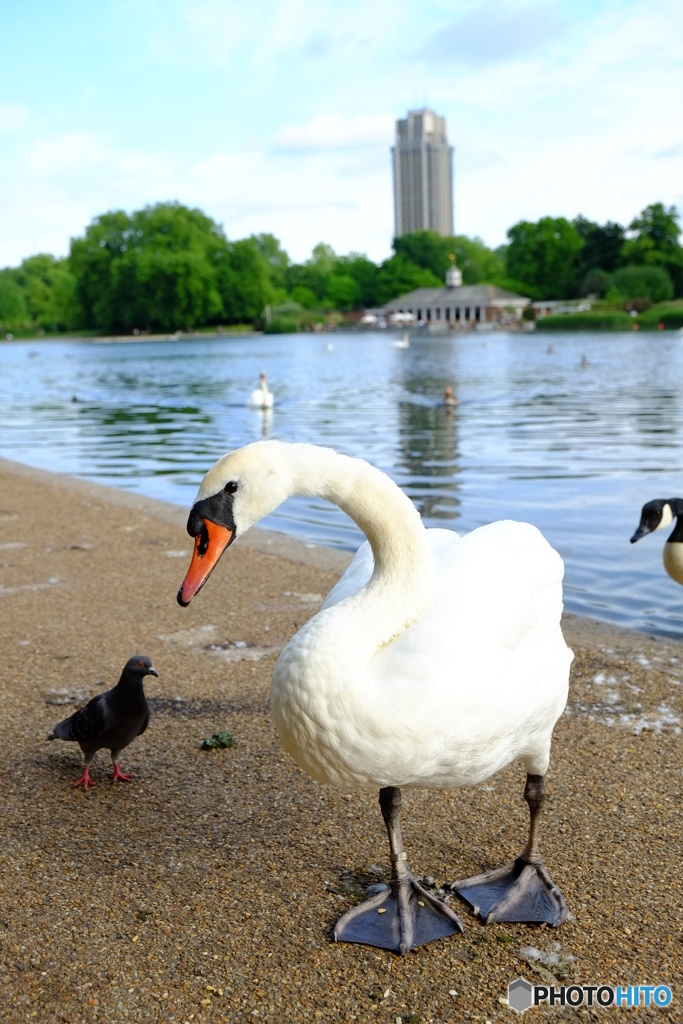 Hyde  Park