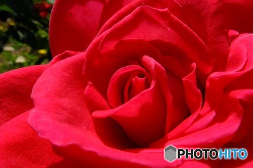 DSCF0019