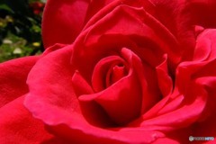 DSCF0019