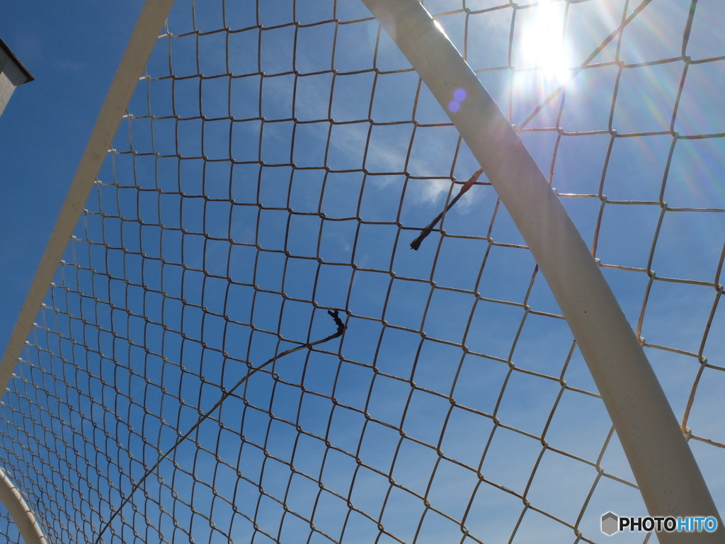 見上げれば・・・・