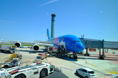 AIRBUS A380 