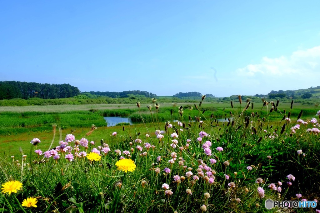 2018 England / Marazion