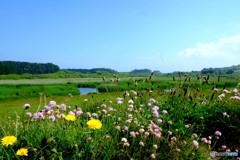 2018 England / Marazion