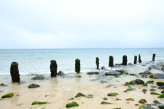 2018 England / St Ives