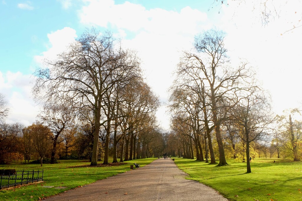 2015　Hyde Park