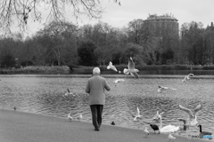 Hyde Park