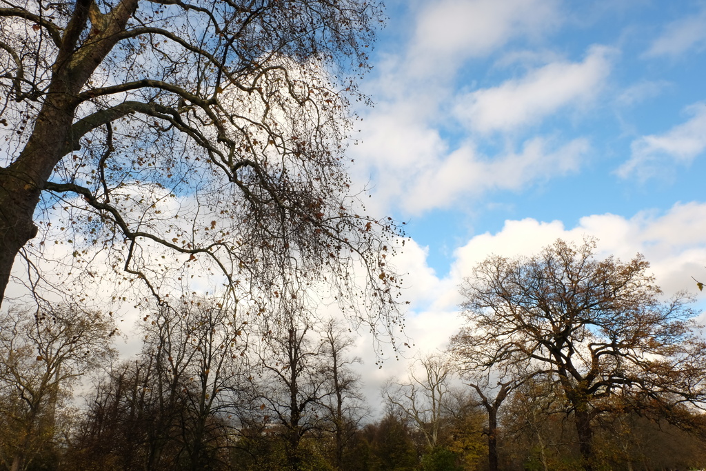 2015　Hyde Park