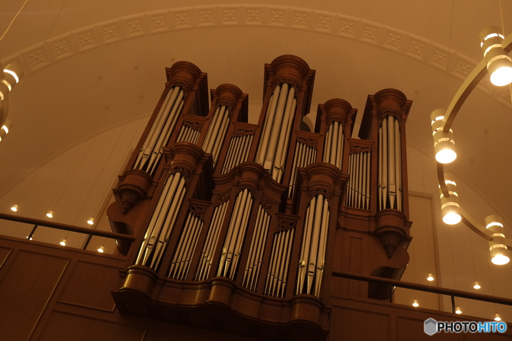 Pipe Organ