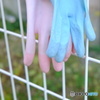 なかよし