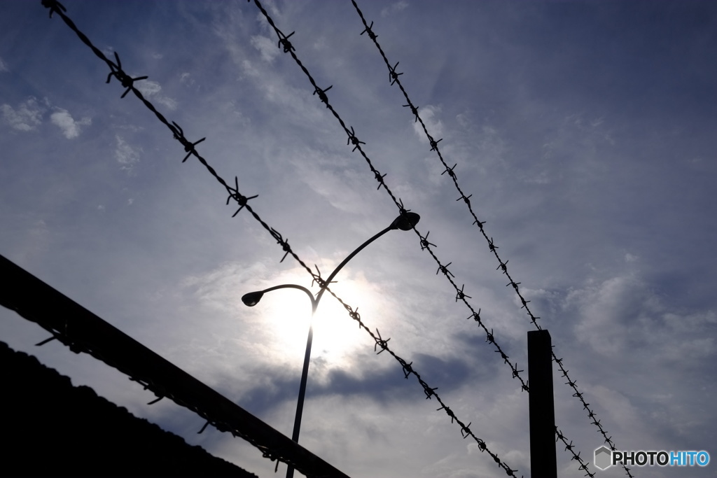 鉄条網の向こう