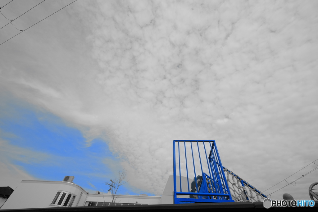 Blueを求めて