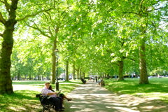 Green Park : England