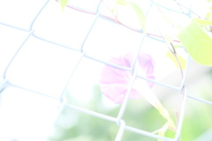 暑いんだけどね