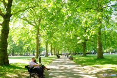 Green  Park