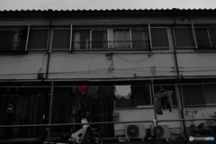 それぞれの生活