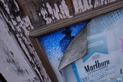 その裏に・・・・・