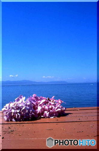 この海の向こうに・・・・・