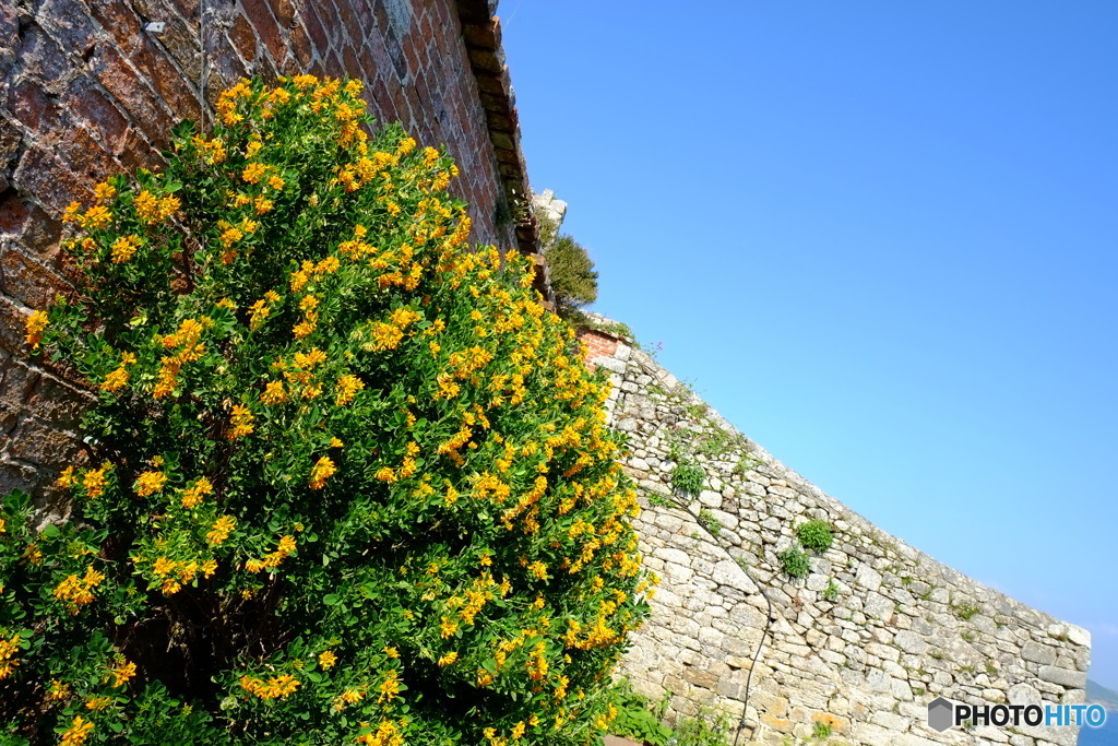 England / St.Michael's Mount