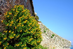 England / St.Michael's Mount