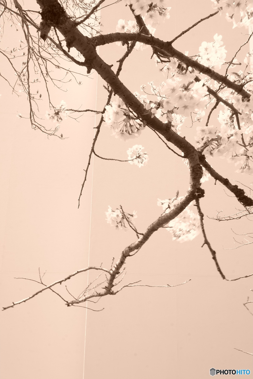 和