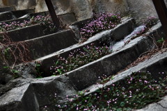 放置という美