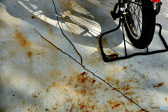 ひび割れた午後