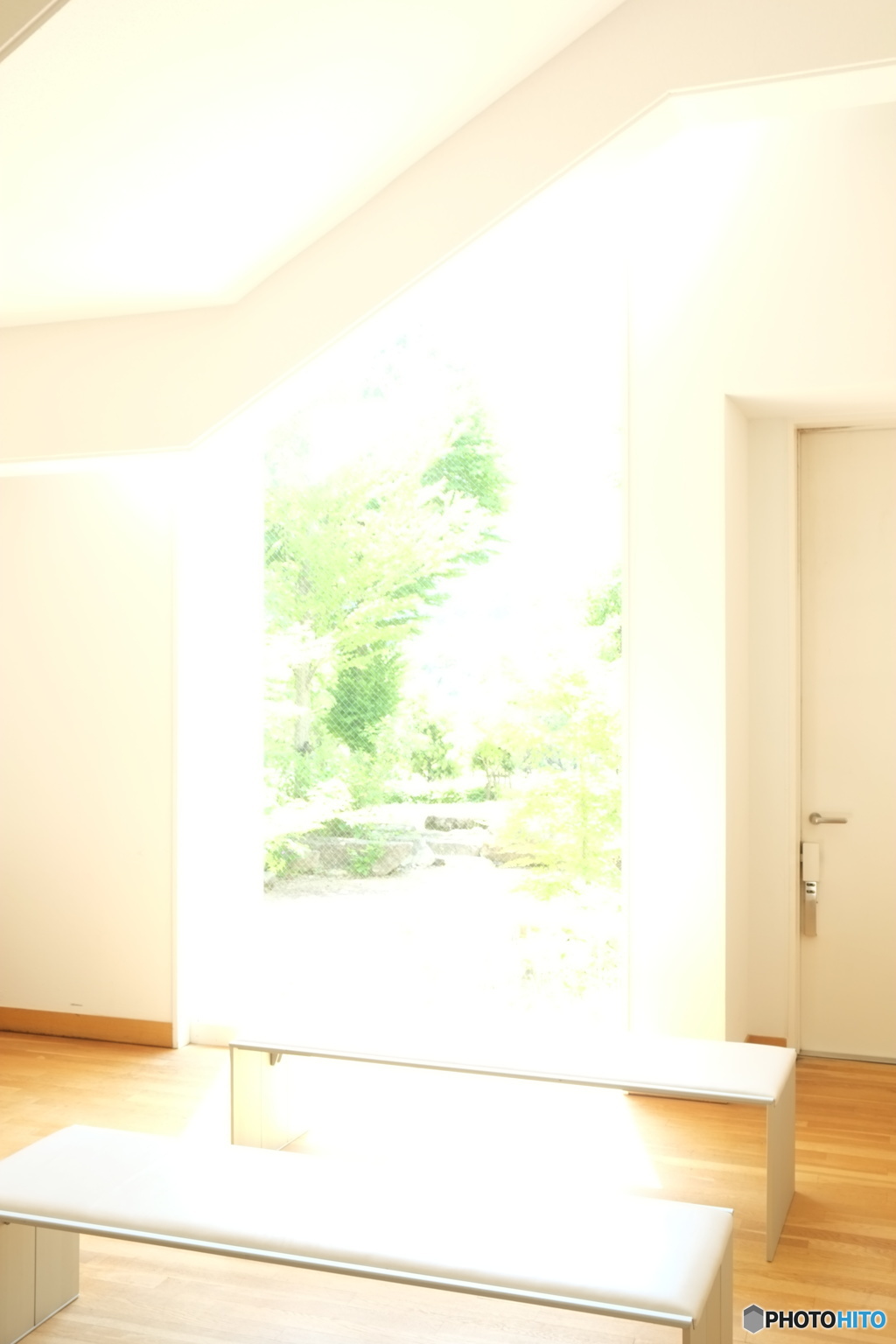 緑へと・・・・