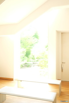 緑へと・・・・