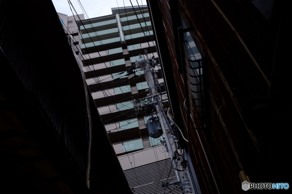 都会のグリーン