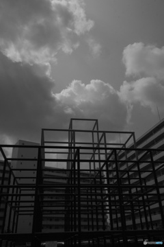 都会ジャングル