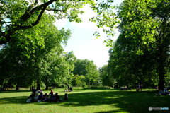 2018 England / Green Park