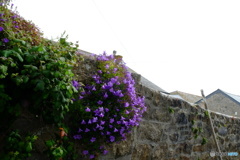 2018 England / Penzance