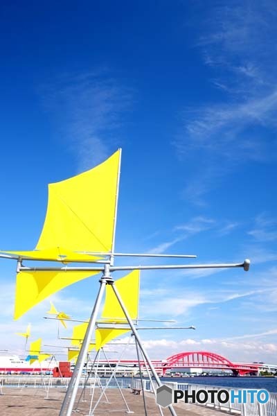 バリエーション