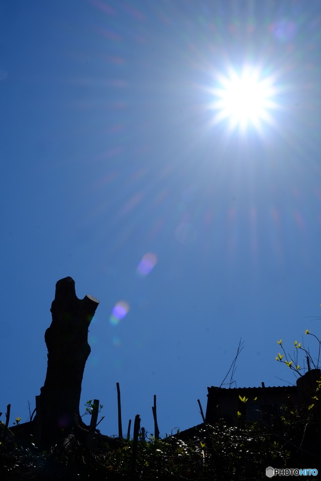 荒れ野の果てに