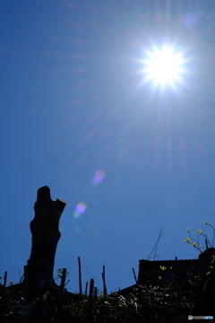 荒れ野の果てに